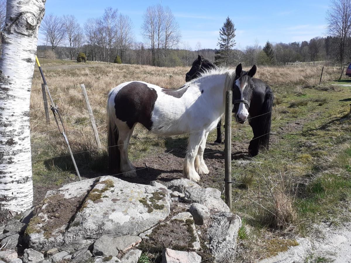 Villa Ekegarden Härryda Eksteriør bilde